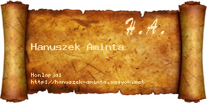 Hanuszek Aminta névjegykártya